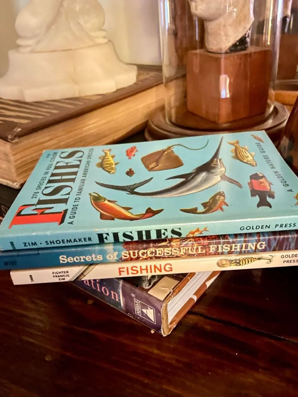 Golden Books vintage lot
